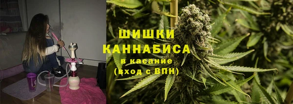 СК Коряжма