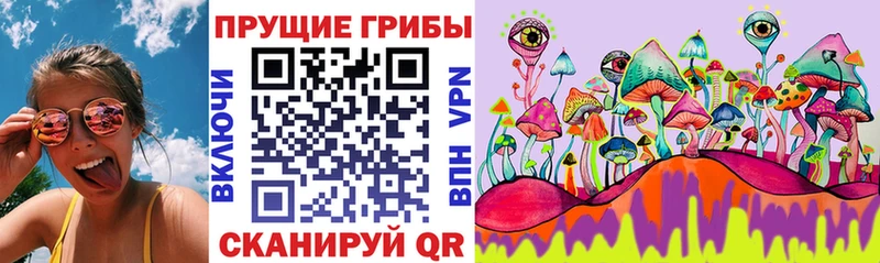 Псилоцибиновые грибы Cubensis  Купить закладки  Верхотурье 